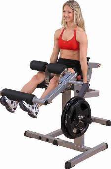 Сгибание-разгибание ног Body-Solid GCEC-340 Сгибание-разгибание ног Body-Solid GCEC-340